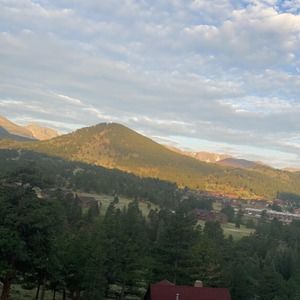 Meet your Posher, Allie